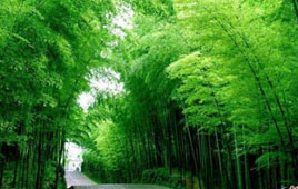 攀枝花避暑旅游